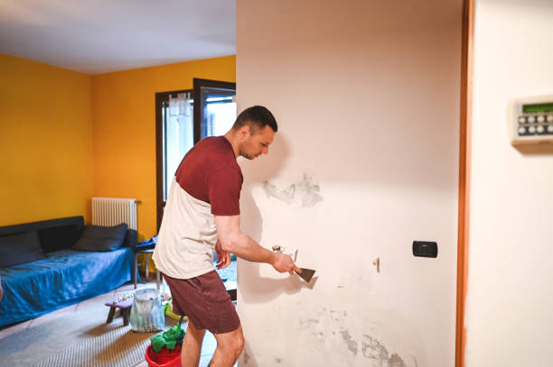 Professional Mold Removal in Berwyn, IL